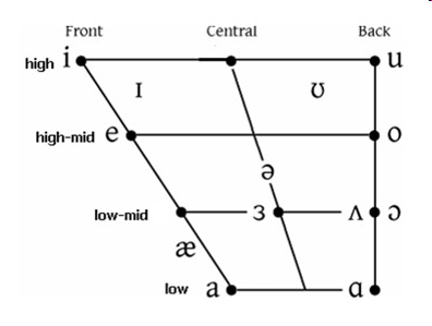 Figure 1: Vowel Chart of monophthongal vowel sounds in Received Pronunciation (RP) (left); Tongue positions for the vowels /i, e, E, a/ (right)